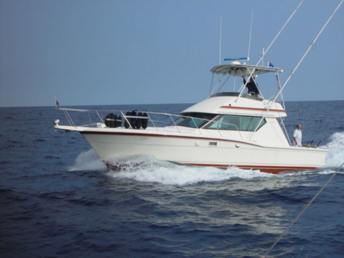Hatteras 38